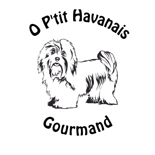 O P'tit Havanais Gourmand