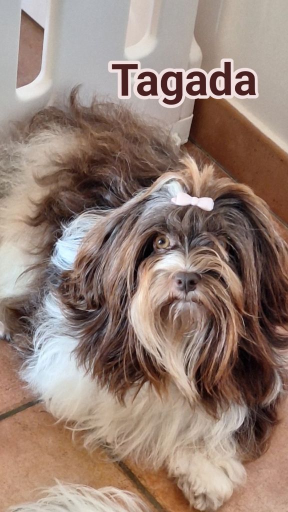 Tagada Du Ker Fleury