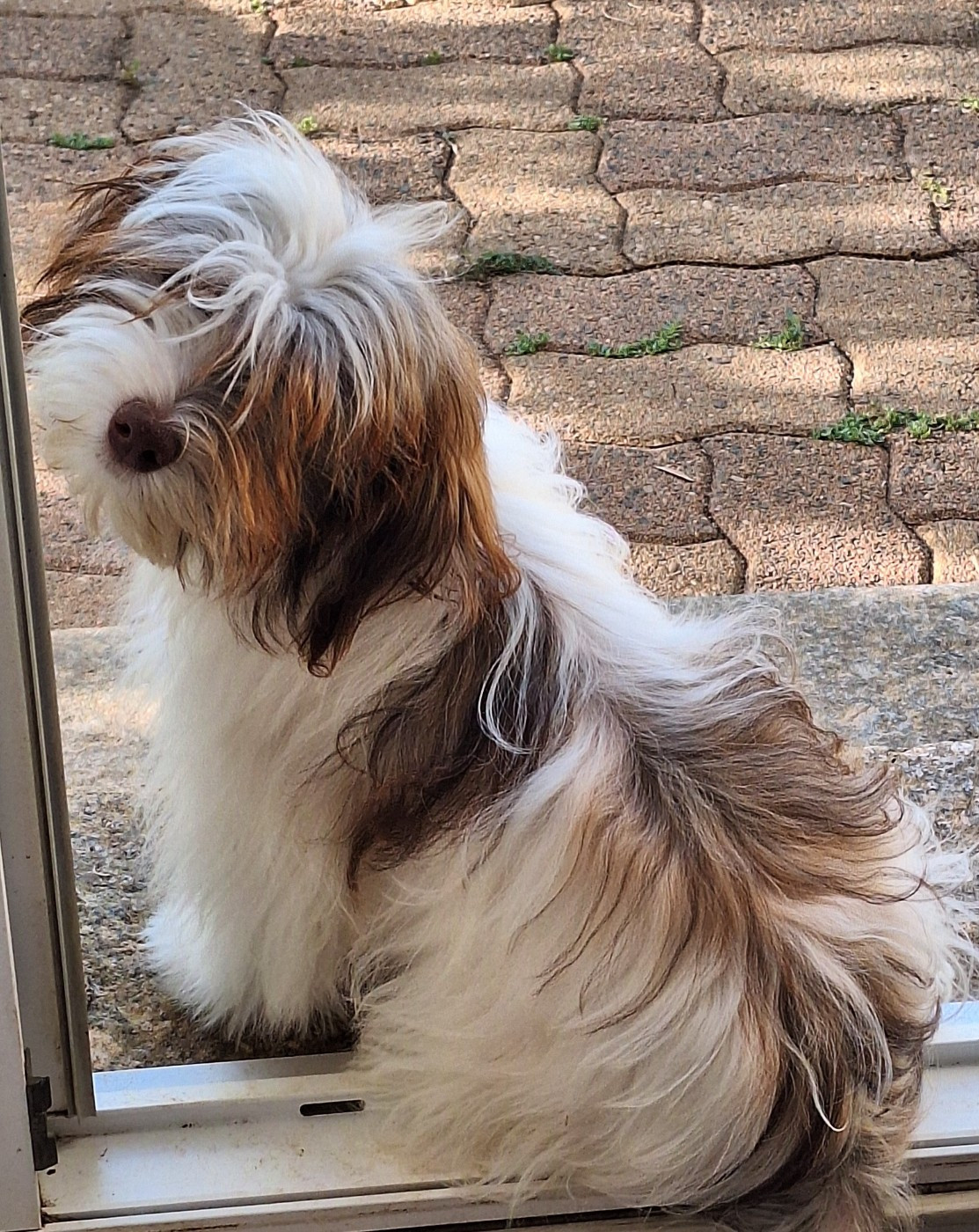 Carambar a trouvé sa famille pour la vie